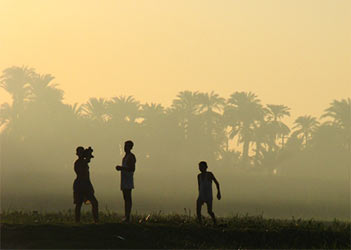 Farming in Egypt