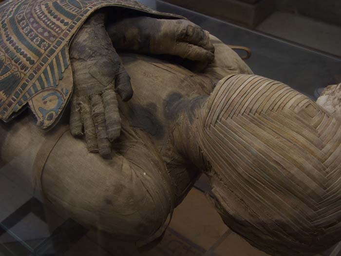 Egyptian Mummy