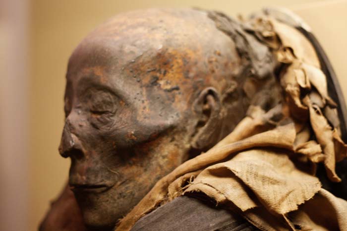 Egyptian Mummy